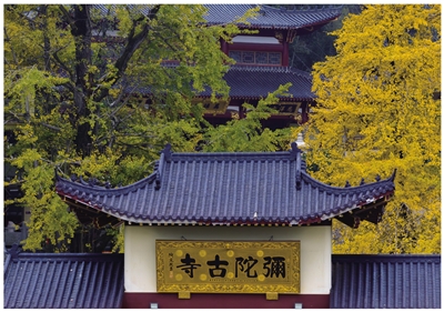 點擊查看原圖
