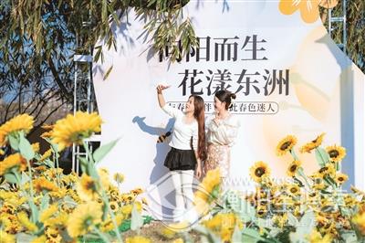 點(diǎn)擊查看原圖